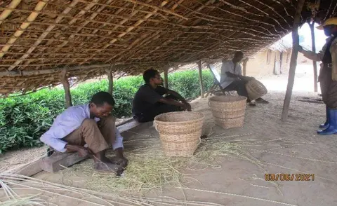 Formation de la construction des paniers qui servent de porter des produits surtout champêtres